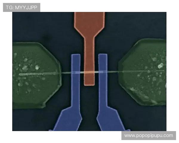 PA骰子在娱乐与专业领域的不同用途详解